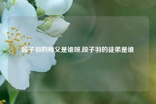 段子羽的师父是谁呀,段子羽的徒弟是谁-第1张图片-我笑了