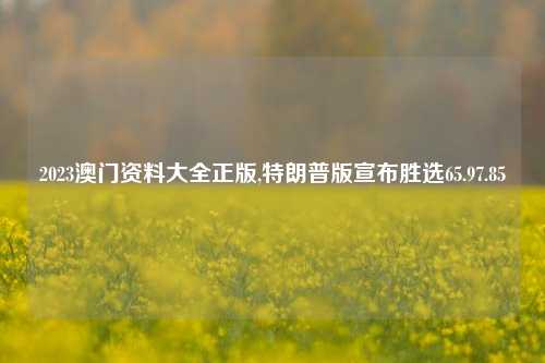 2023澳门资料大全正版,特朗普版宣布胜选65.97.85-第1张图片-我笑了